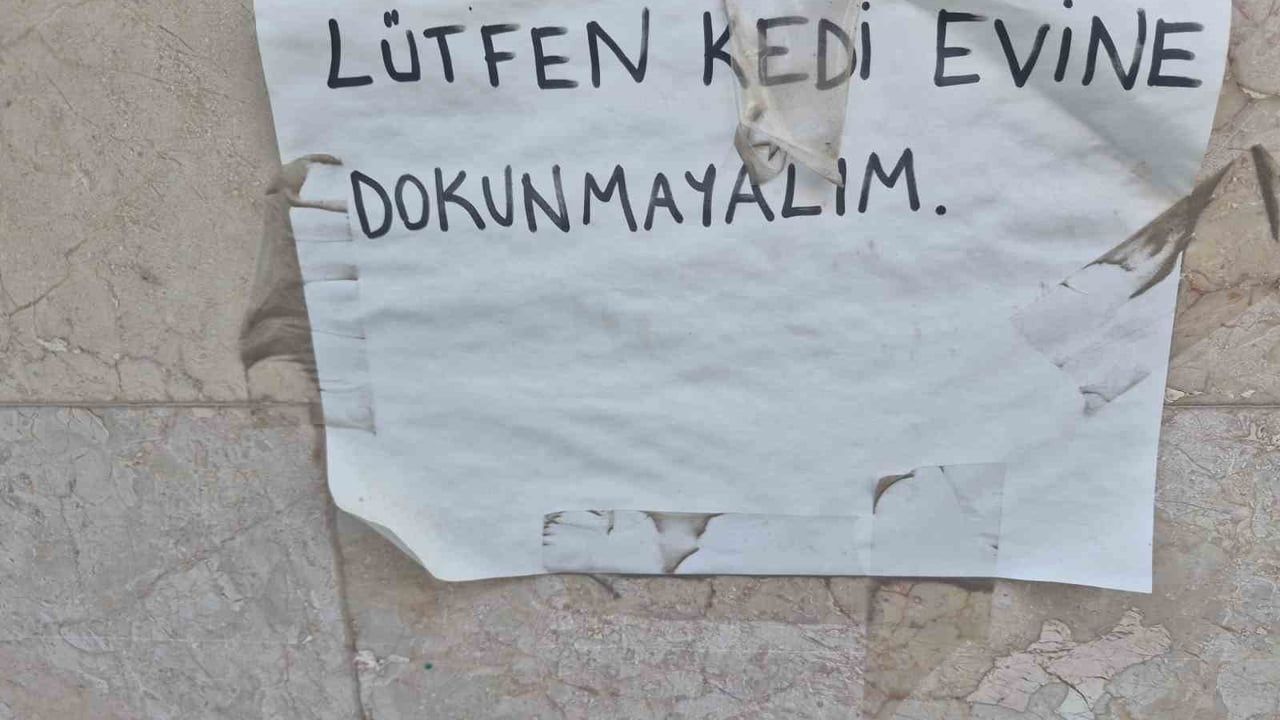 Eskişehir'de sokak kedileri için iki karton ev yapan vatandaş not bıraktı