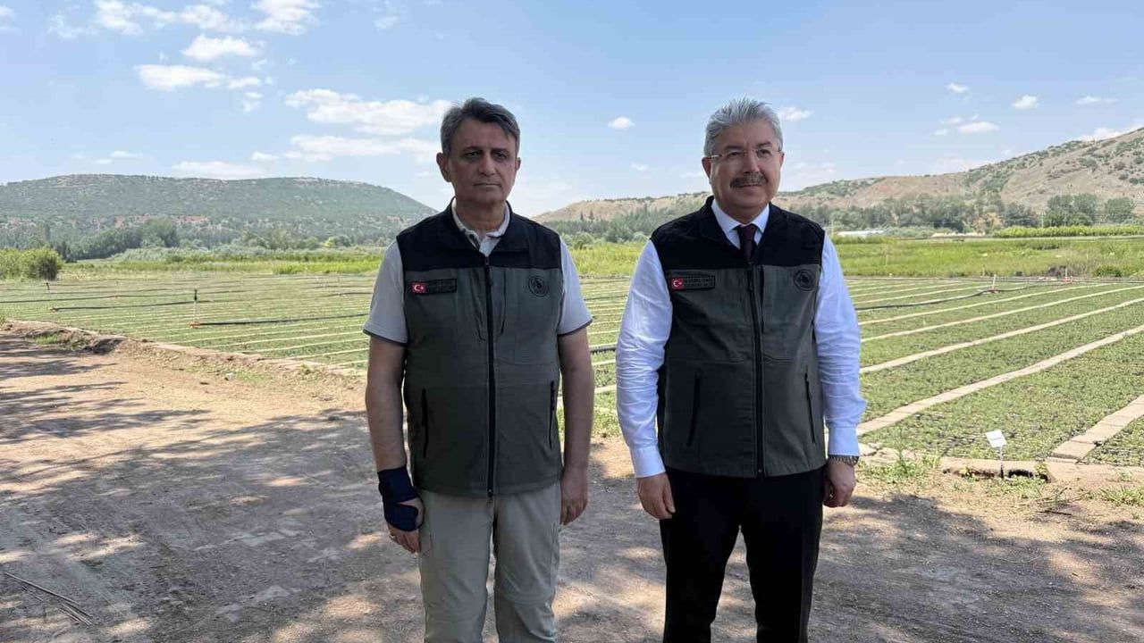 Eskişehir’den yangın bölgelerine gönderilen milyonlarca fidan nefes olacak