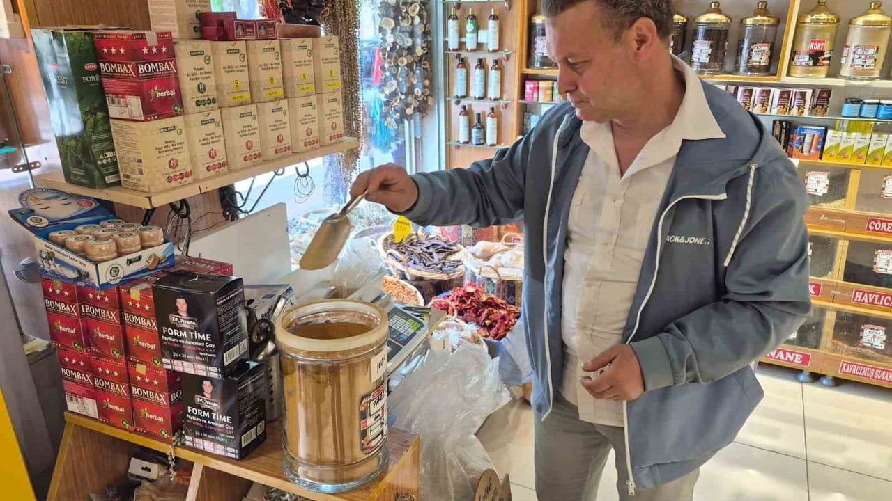 Eskişehirli aktar Koray Özkılıç: Kenelerden korunmak için tarçın, lavanta ve okaliptüs önerisi