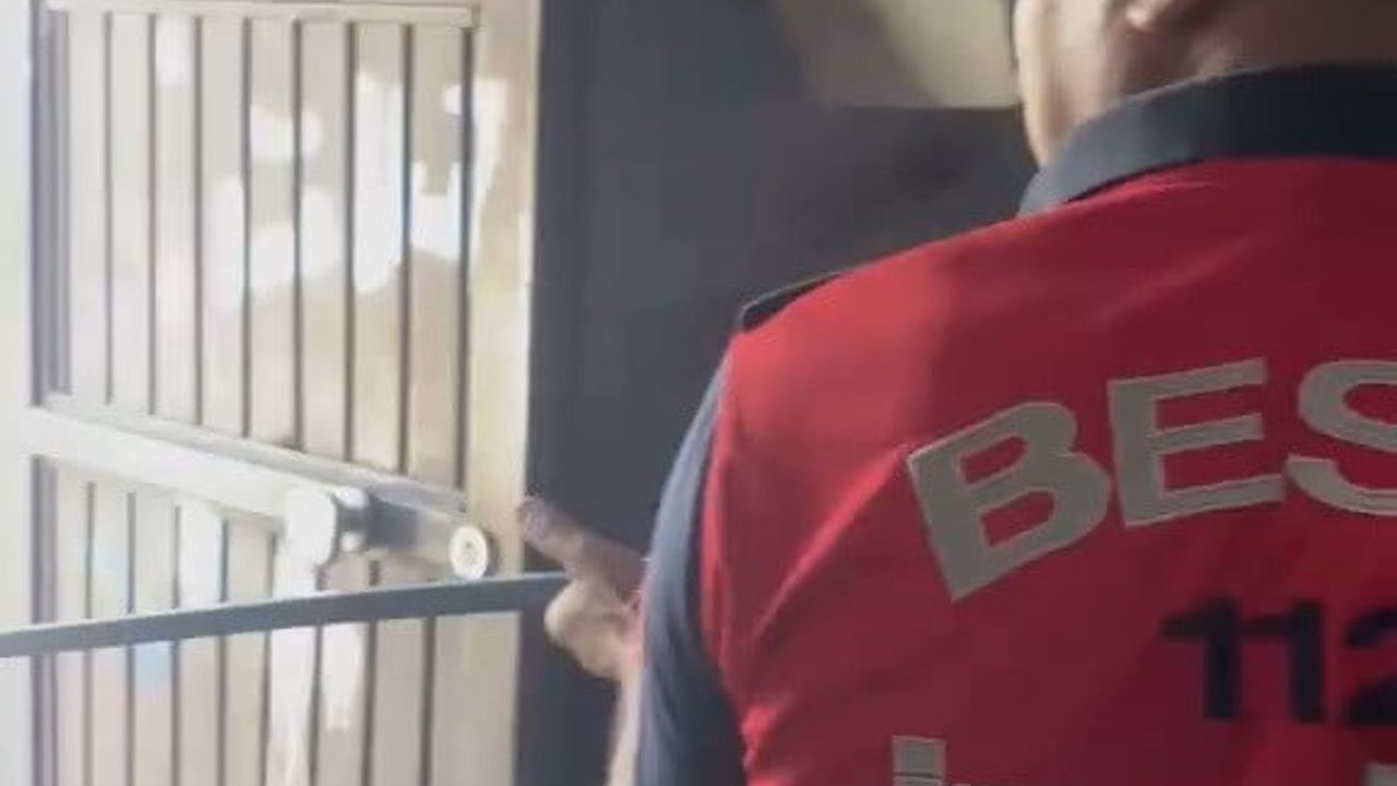 Eve giren yılan yakalanarak doğaya bırakıldı