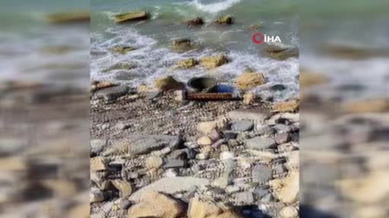 Eyüpsultan Ağaçlı sahilinde denizden askeri mühimmat çıktı