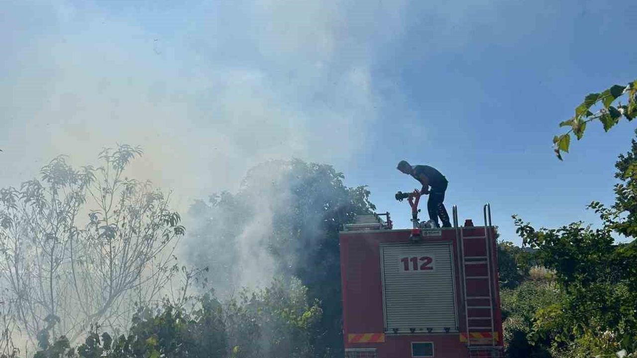 Ezine Akköy'de otluk yangını itfaiye ekiplerinin müdahalesiyle kısa sürede söndürüldü