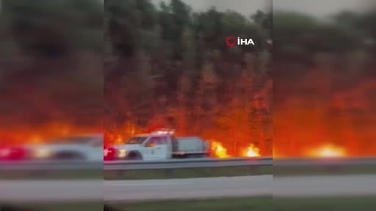 Florida'da orman yangınları 2 bin hektarı küle çevirdi