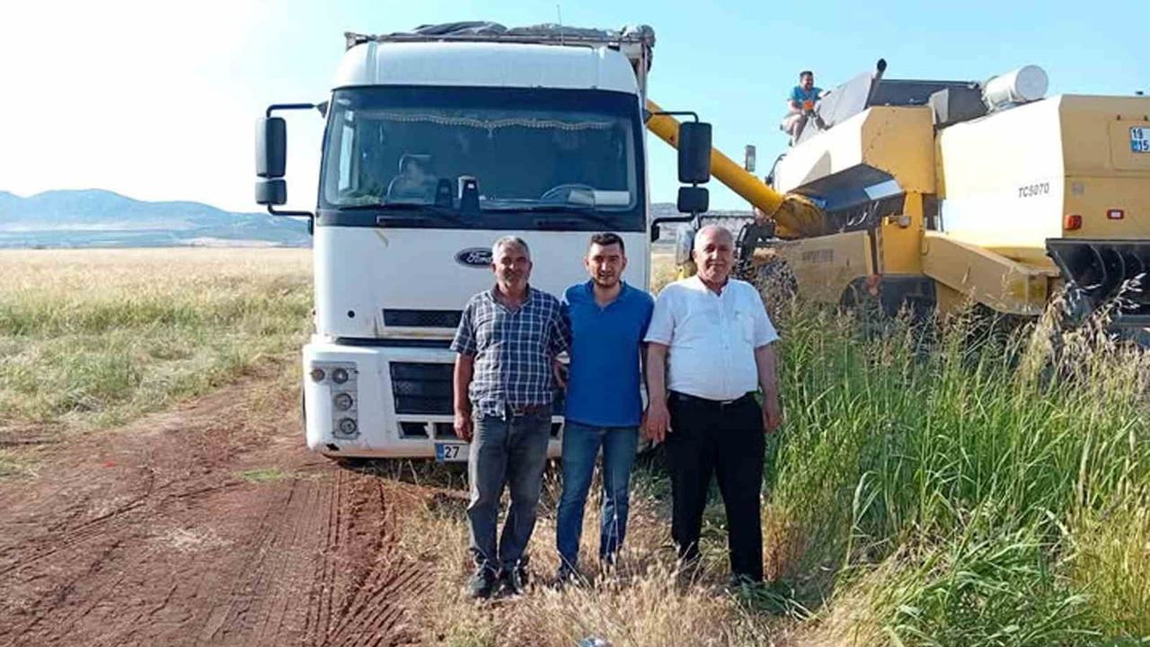 Gaziantep Araban Ovası'nda 2026'nın ilk arpa hasadı başladı