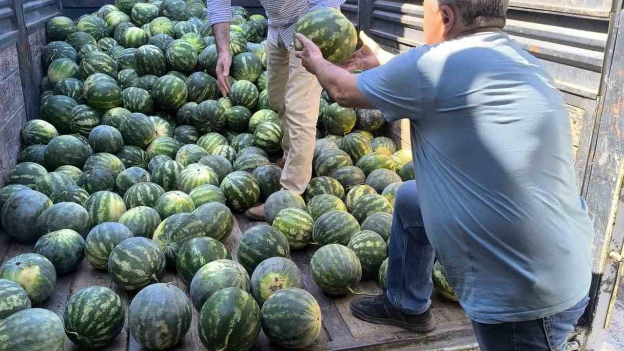 Gazipaşa'da hayırsever çiftçinin 10 ton karpuzu öğrenciler ve ihtiyaç sahiplerine ulaştırıldı