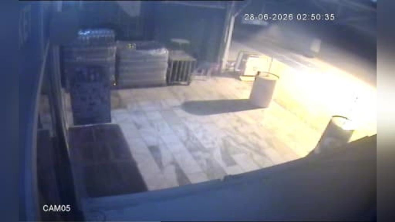 Gazipaşa'da kontrolden çıkan otomobil aydınlatma direği ve çöp konteynerine çarptı