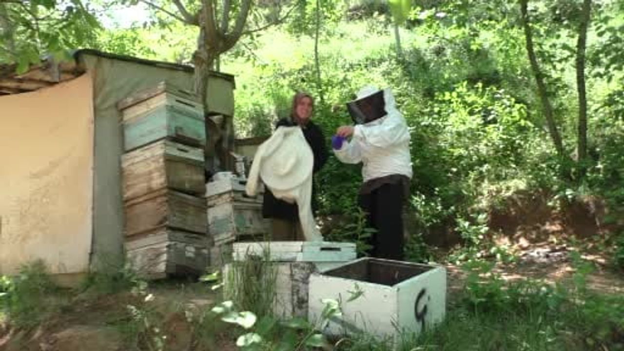 Gelin-görümcenin arıcılık başarısı: 5 kovandan 100 kovana ulaştılar