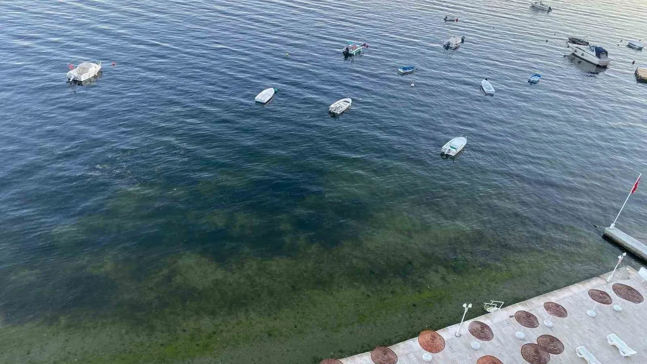 Gemlik Körfezi'nde müsilajın ardından temiz görüntüler