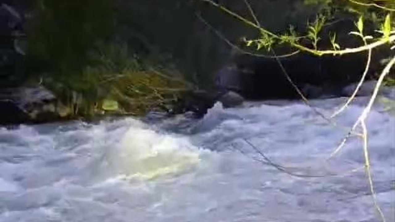 Genç'te nehre düşen şahıs için arama kurtarma çalışması başlatıldı