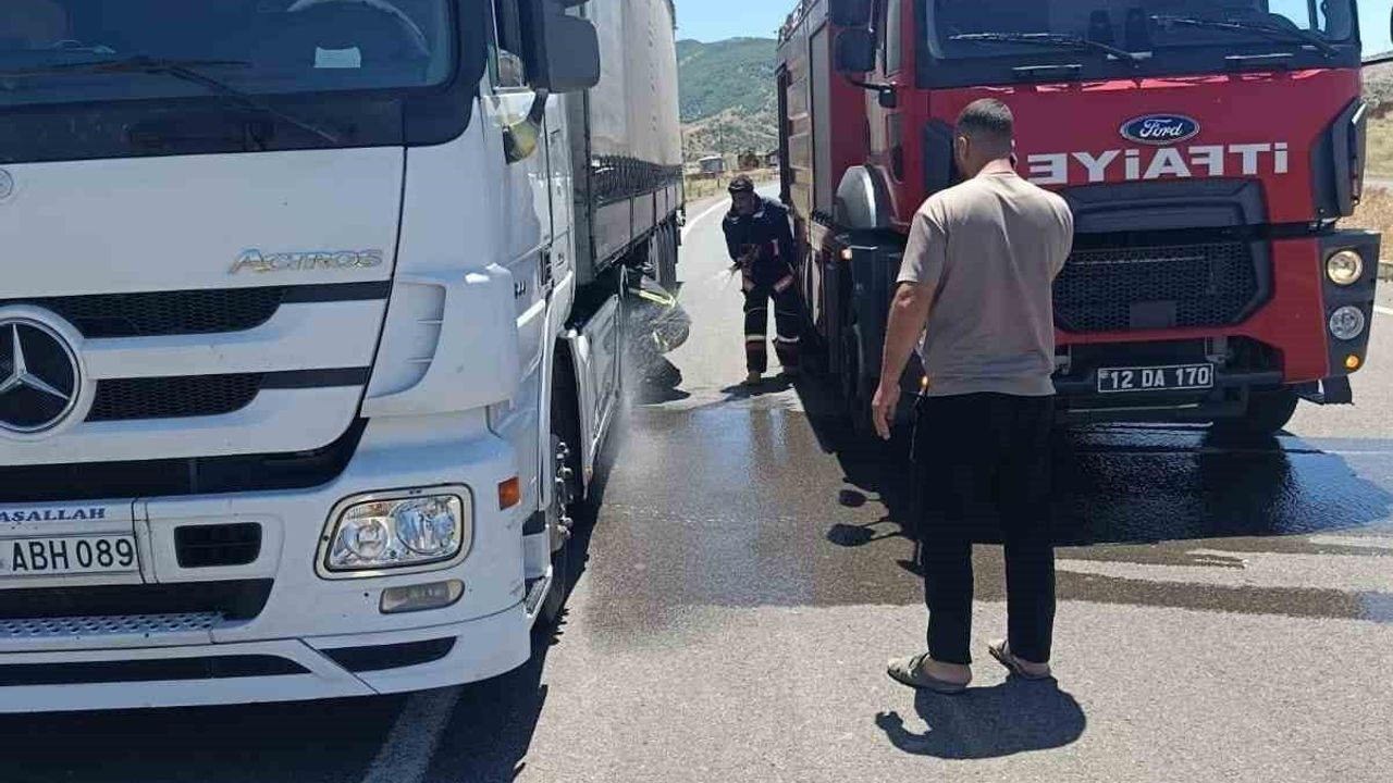 Genç'te seyir halindeki tırın lastikleri alev aldı