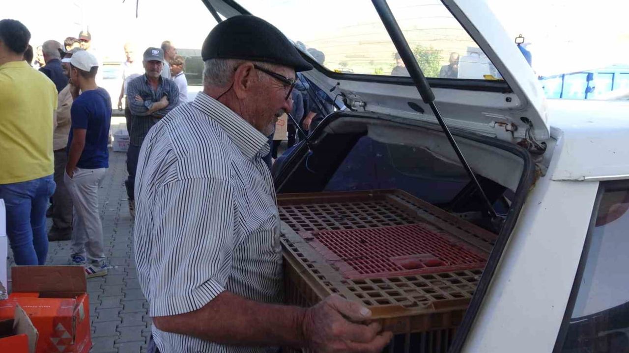 Gercüş’te 107 üreticiye yüzde 75 hibeli tavuk ve yem dağıtımı
