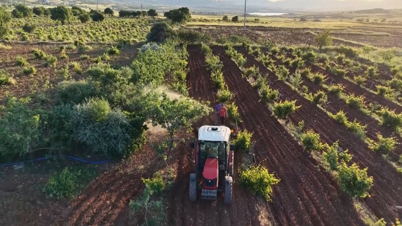 Gercüş’te bahar mesaisi: Çiftçiler şafak vakti tarlalara çıkıyor