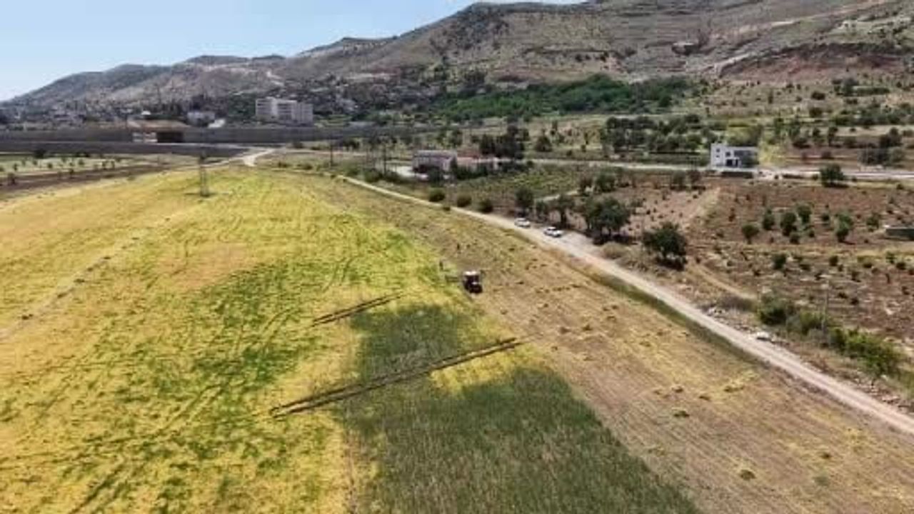 Gercüş'te mercimek hasadı bereketli geçti: Yağış verimi ve kalitesi yükseltti