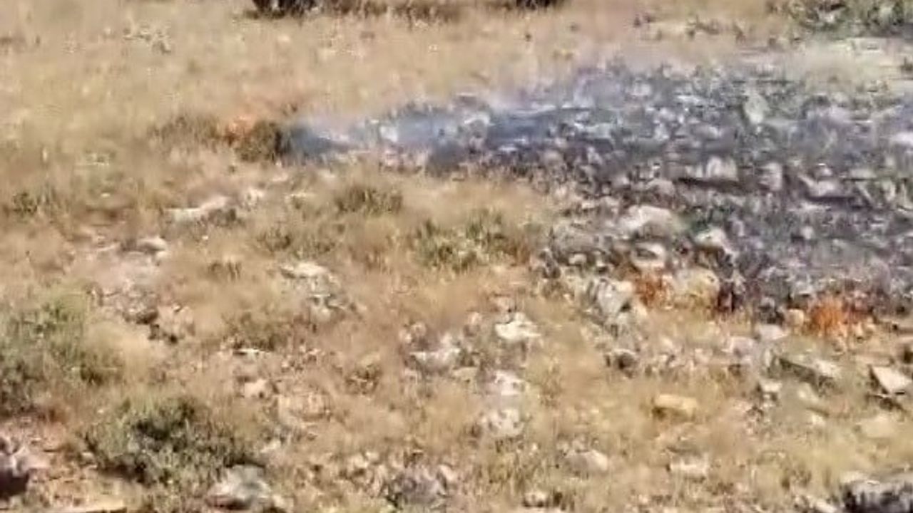 Gercüş’te yangın: köyün ekili alanları son anda kurtarıldı