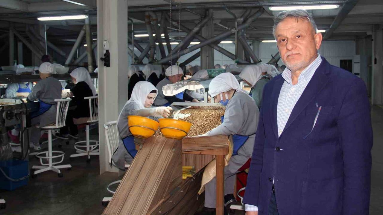 Giresun'da fındık fiyatları düşüşte; yeni sezon fiyatları mevcut seviyelerden başlayacak