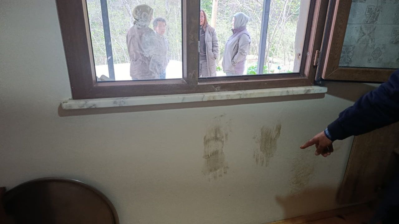 Giresun'da üç bölgede kontrollü ayı müdahalesine izin verildi