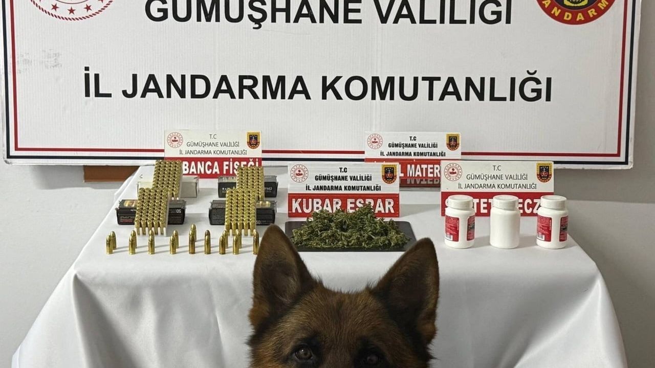 Gümüşhane'de jandarma uyuşturucu operasyonu