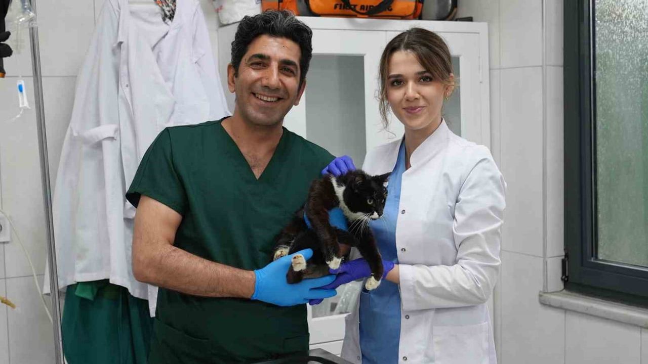 Gürsu Hayvan Bakım Merkezi cerrahi başarılarıyla sokak hayvanlarına umut oluyor