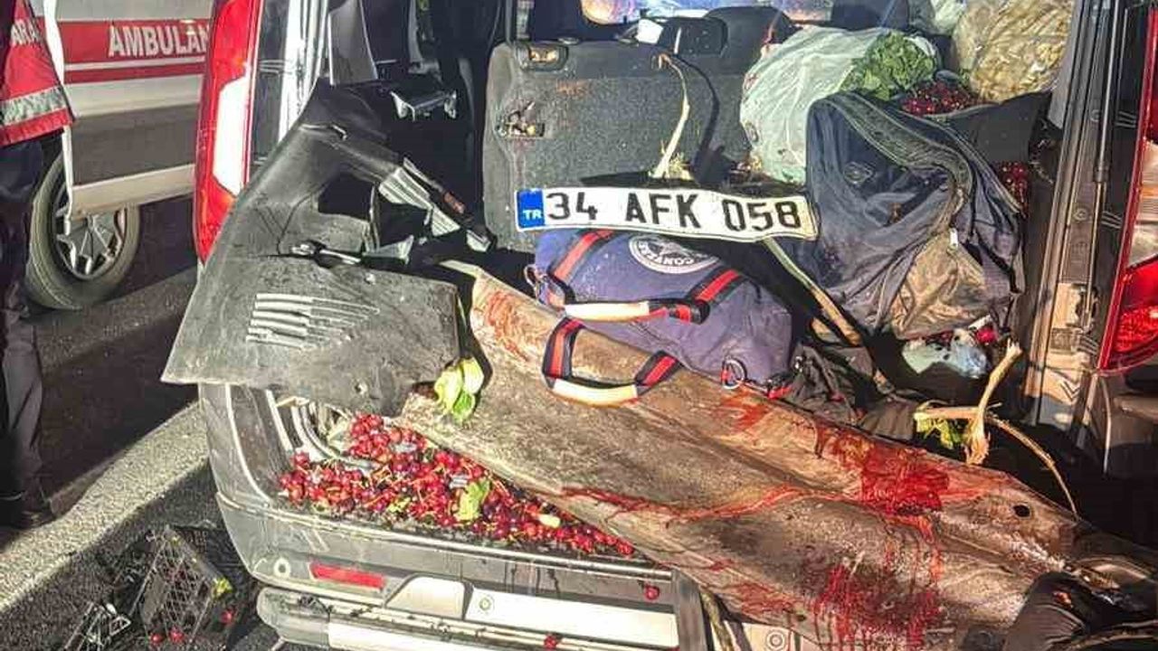 Hafif ticari araç bariyerlere saplandı: 4 kişi yaralandı