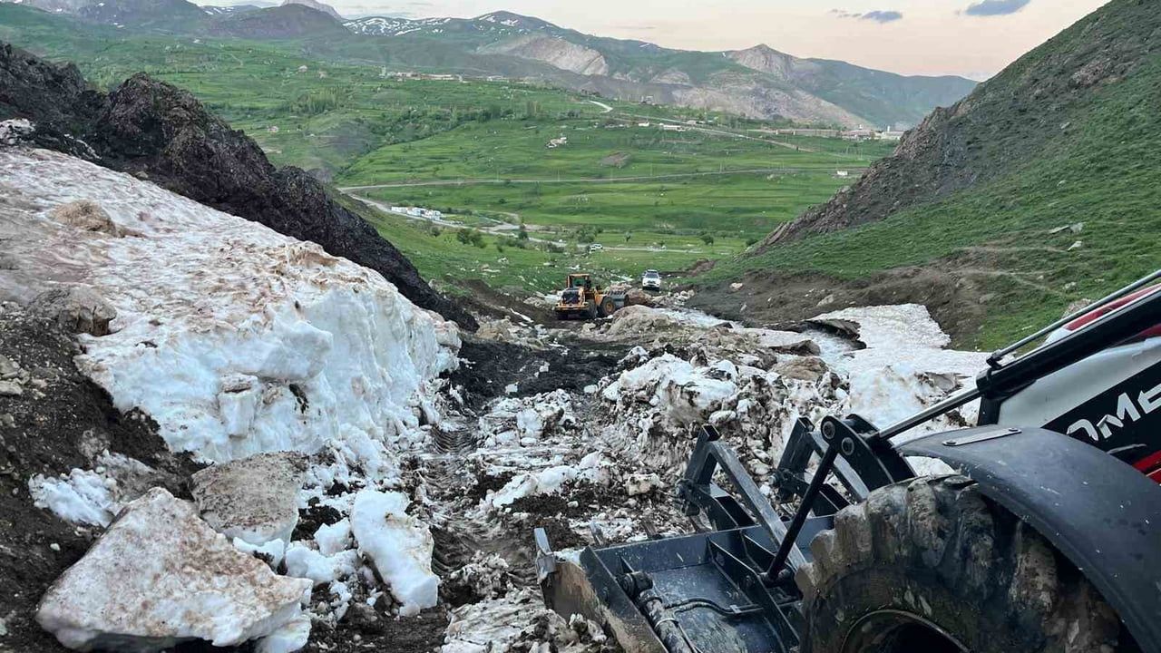 Hakkâri'de kar mağarasına düşen tosun AFAD ve belediye ekiplerince sağ salim kurtarıldı