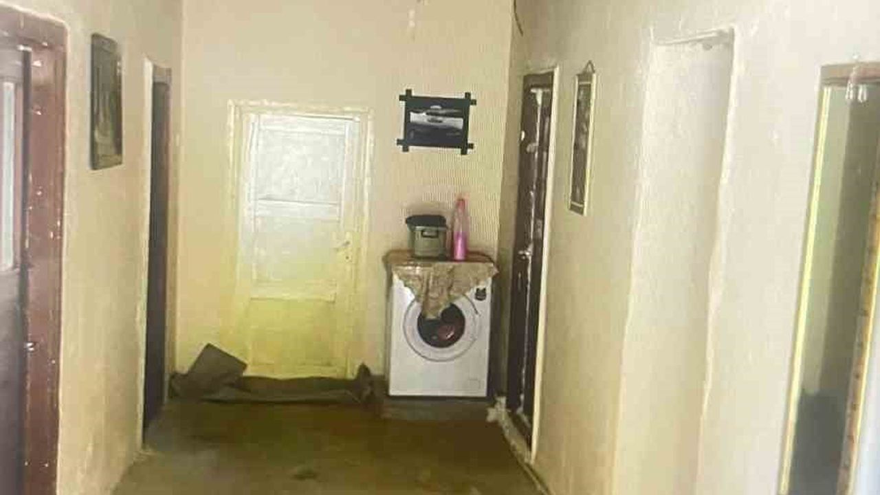 Hakkâri'de toprak evde yılan paniği