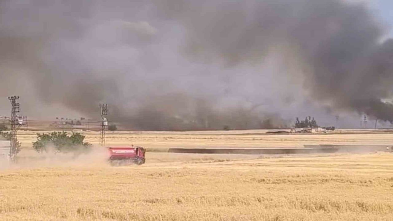 Harran'da anız ve buğday yangını: Yaklaşık 400 dönüm arazi kül oldu