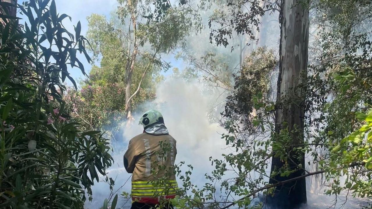 Hassa'da bahçe yangını kısa sürede kontrol altına alındı
