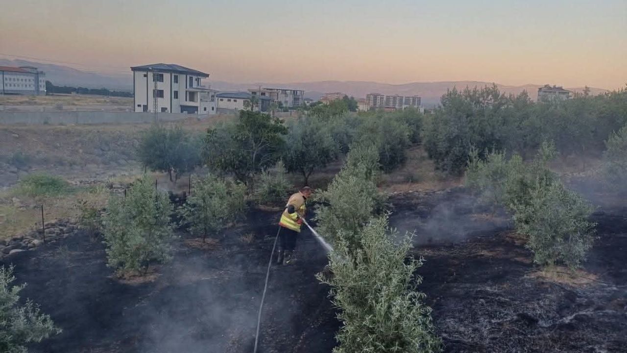 Hassa'da bahçede çıkan yangın itfaiye müdahalesiyle kontrol altına alındı