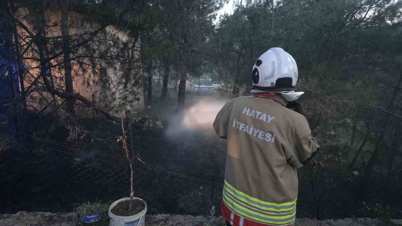 Hassa'da çamlıkta çıkan yangın itfaiye ve OGM ekiplerinin müdahalesiyle kontrol altına alındı