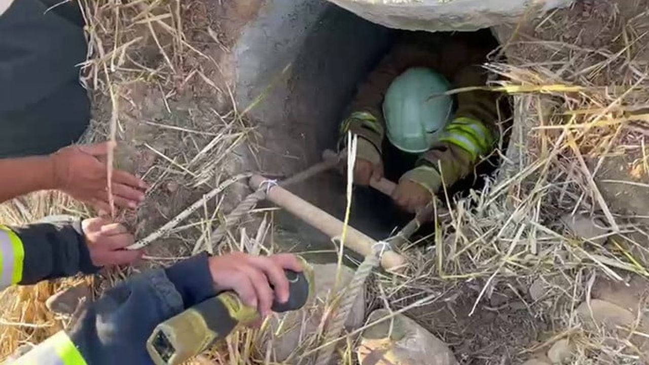 Hassa'da su kuyusuna düşen iki koyun itfaiye ekiplerince kurtarıldı