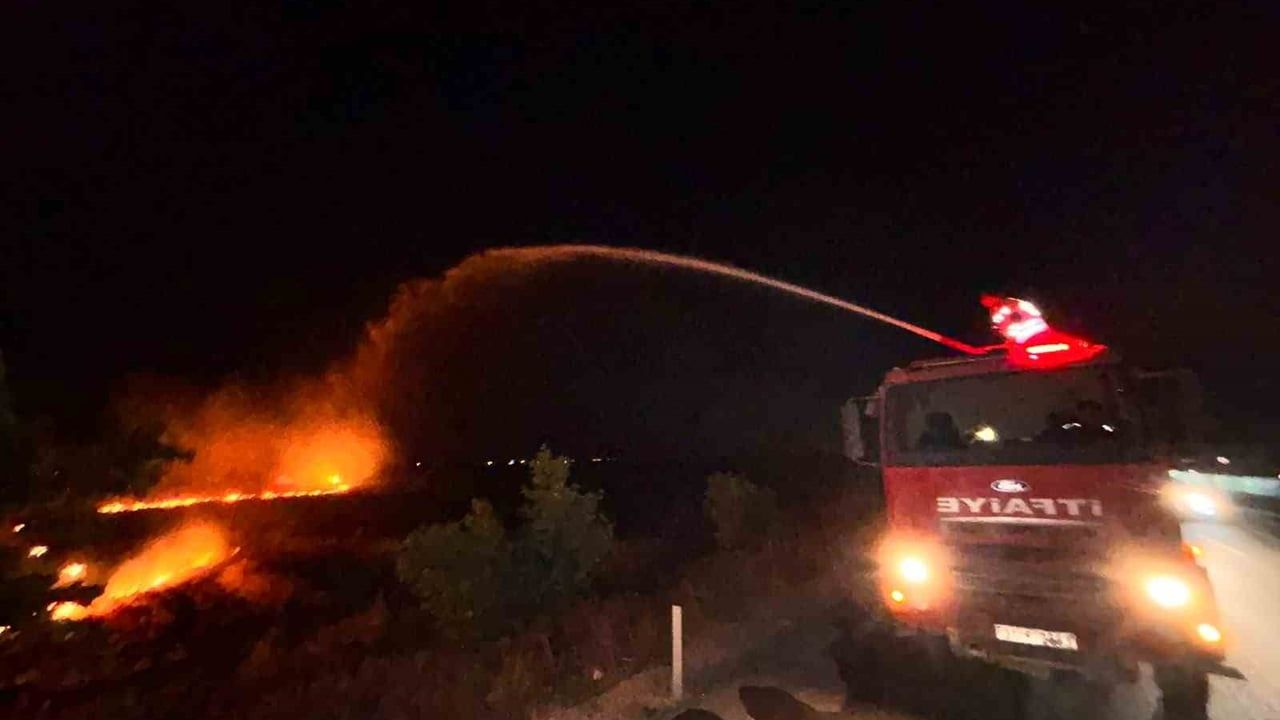 Hatay'da anız yangını zeytinliğe sıçradı: Kırıkhan'da yaklaşık 200 dönüm zarar