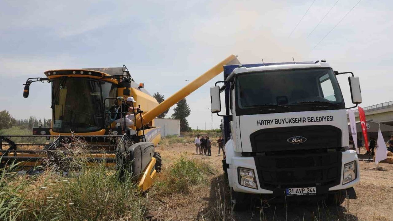 Hatay'da 'Her Tohum Bir Gıda' projesiyle 52 dekarlık buğday hasadı