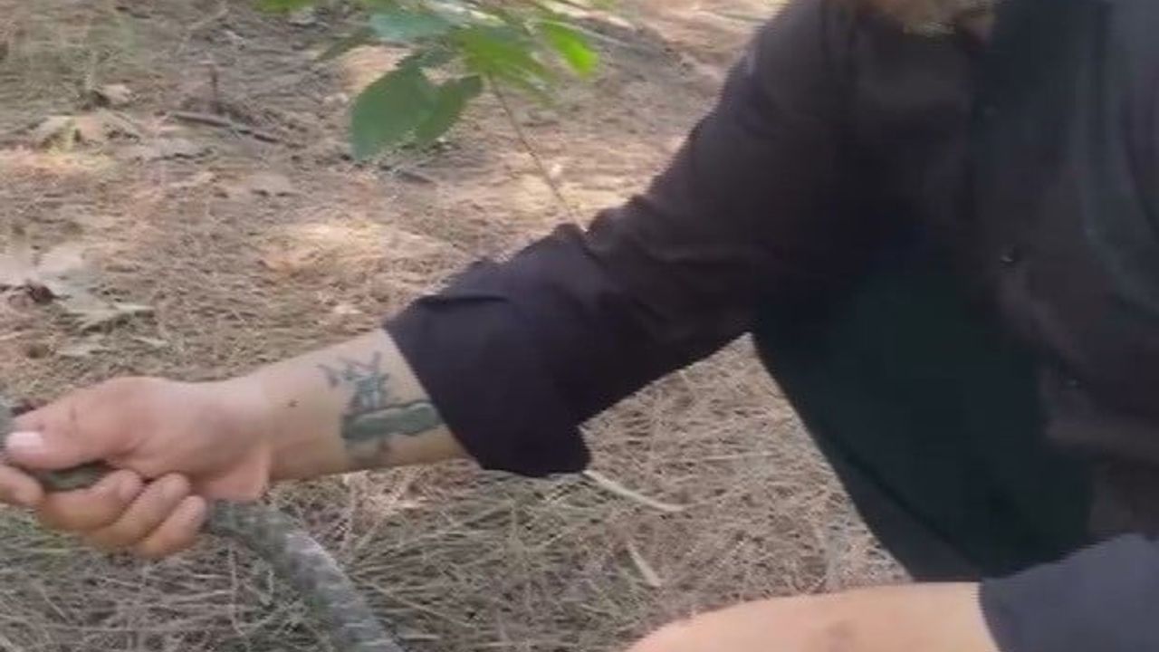 Hatay'da klima borusuna giren 1 metre sikkeli yılanı 'Yılancı Kemal' aparatsız yakalayıp doğaya bıraktı