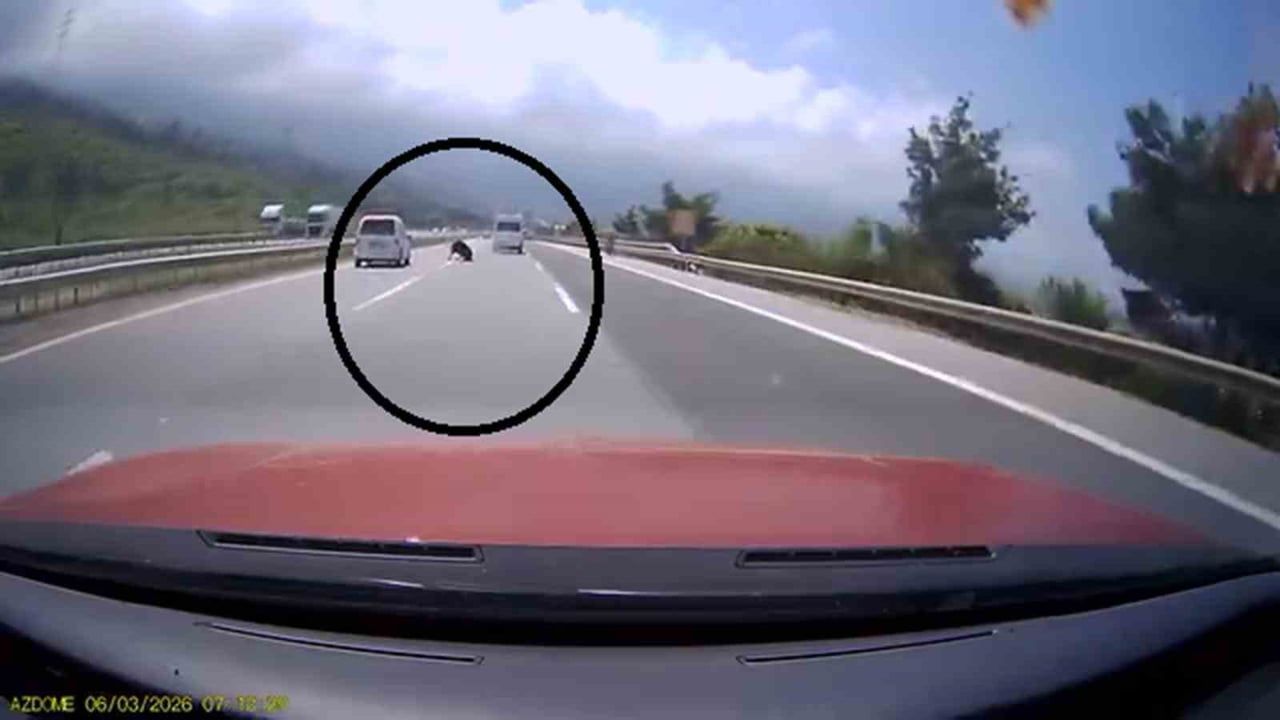 Hatay'da otobana çıkan angus, araçlarda maddi hasara yol açtı