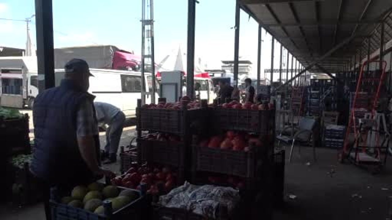 Hatay'da sebze halindeki domatesin fiyatı 15 TL'ye düştü