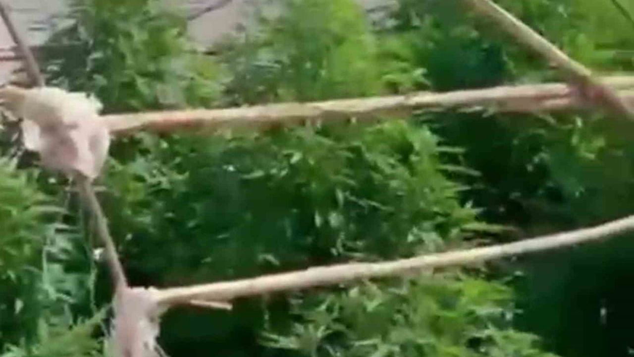 Hatay'da seraları uyuşturucu üretim tesisine çeviren şahıslara operasyon