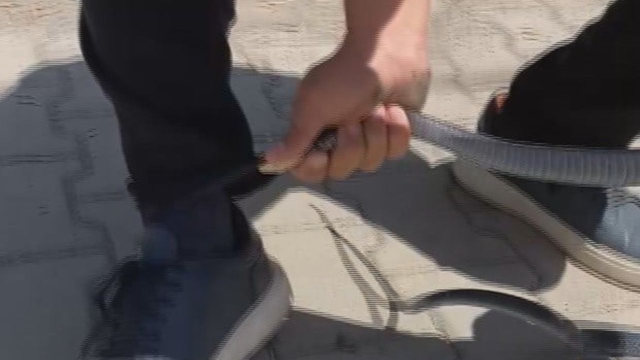 Hatay'da 'Yılancı Kemal' karayılanı aparatsız yakaladı, bacağından ısırıldı