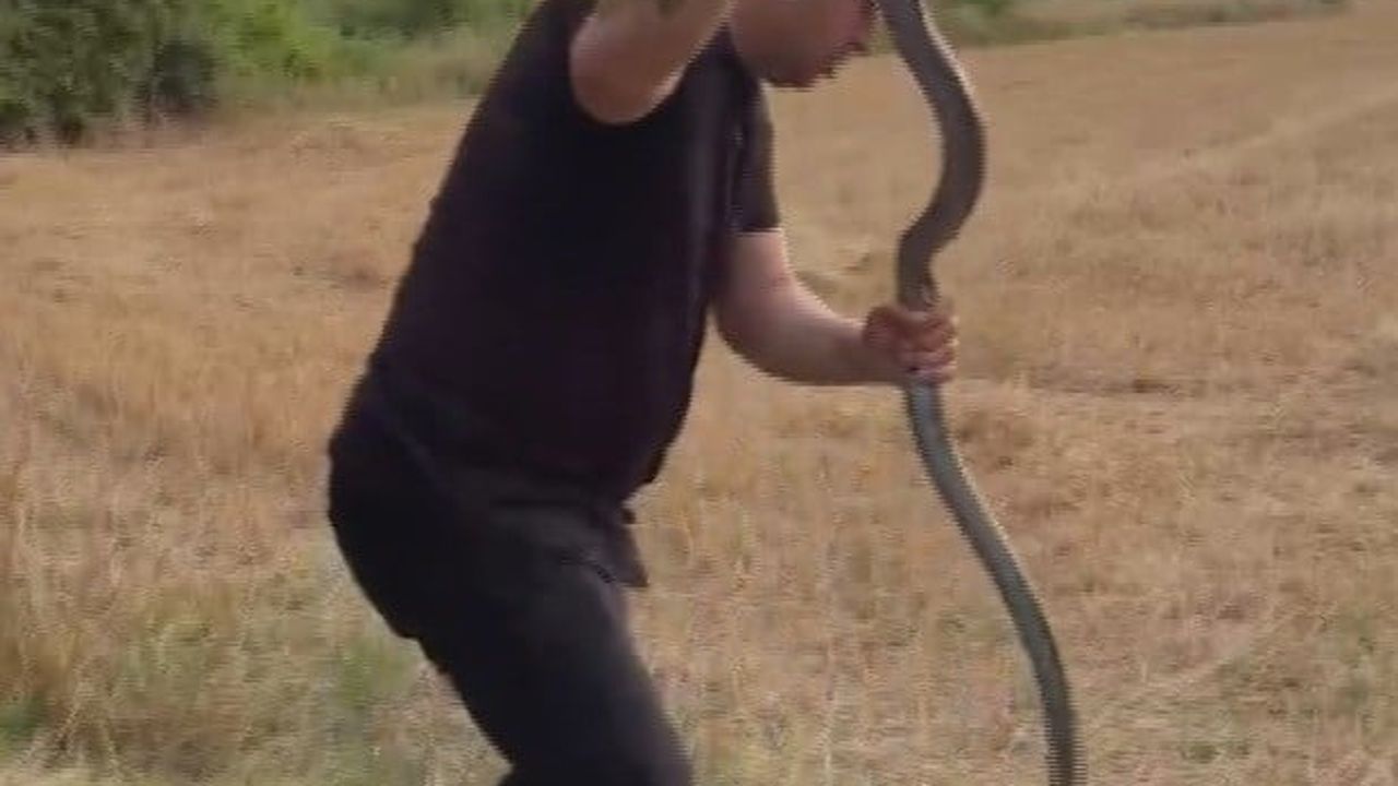 Hatay'da 'Yılancı Kemal' tavuk kümesine giren 2 metrelik kara yılanı çıplak elle yakaladı