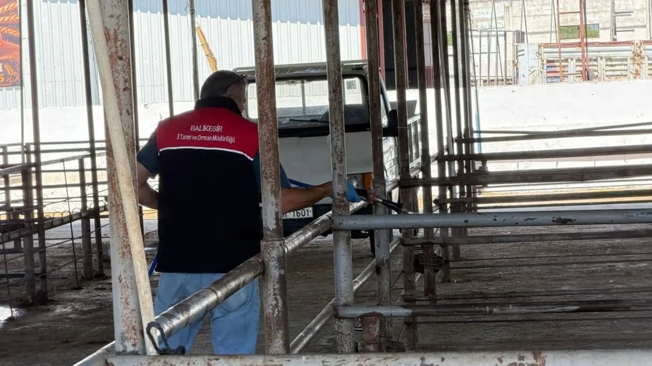 Havran’da Kurban Bayramı Sonrası Biyogüvenlik Önlemleri: Canlı Hayvan Pazarında Dezenfeksiyon