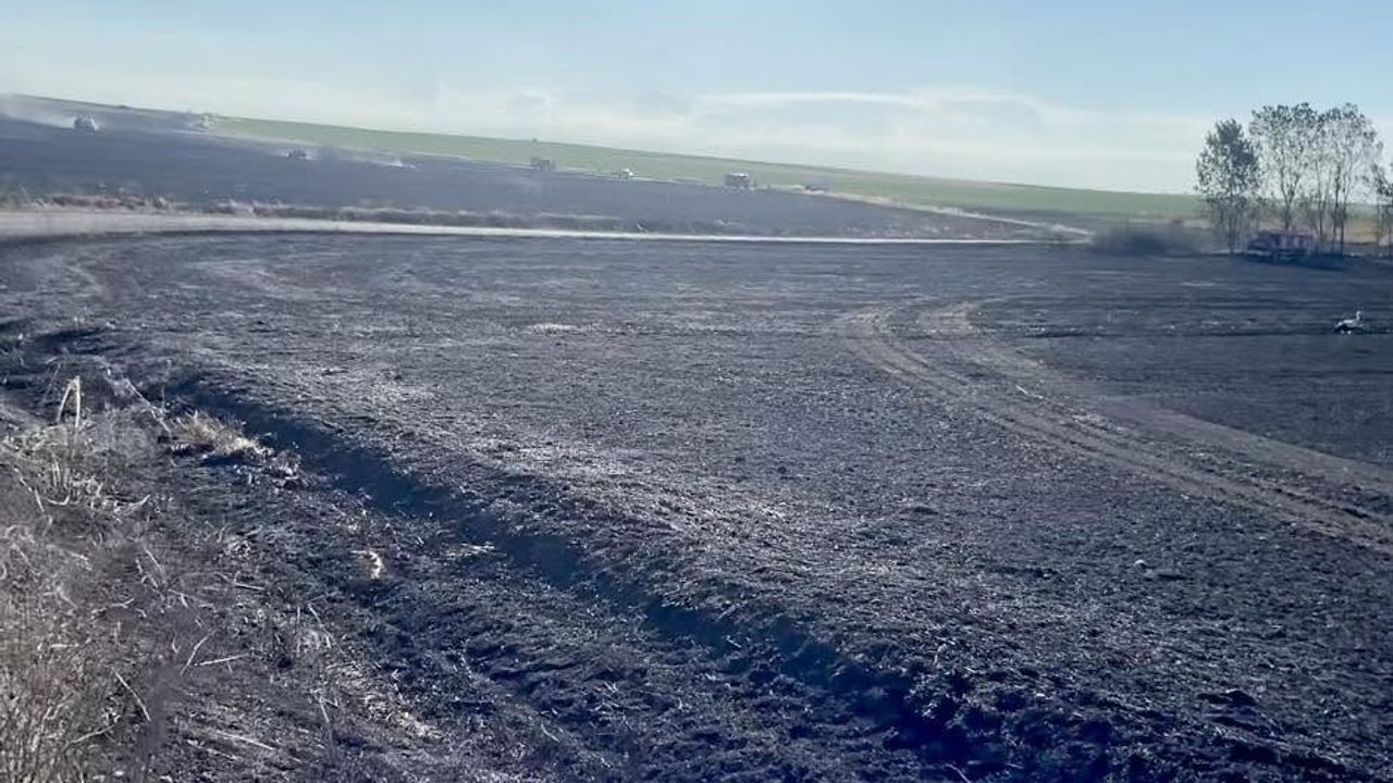Hayrabolu'da 400 dönüm buğday ekili alan zarar gördü