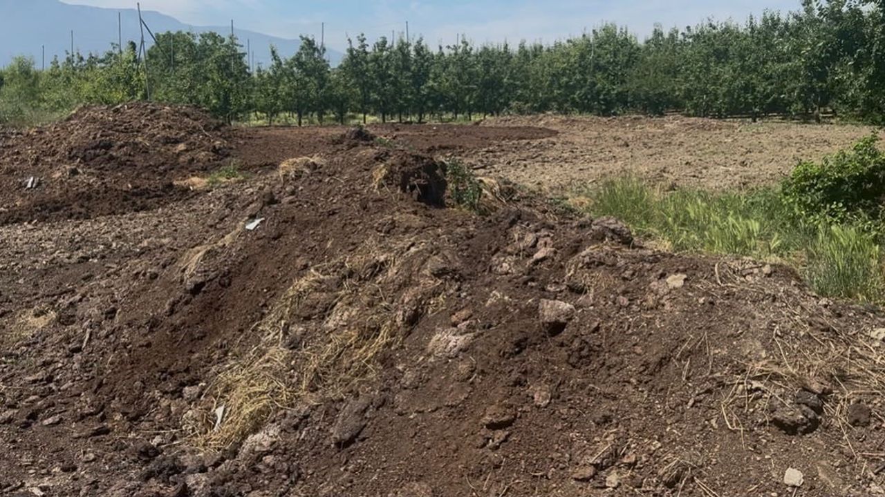 Hayvansal organik gübre fiyatları sabit kaldı: Çiftçiler için ekonomik ve toprak dostu alternatif