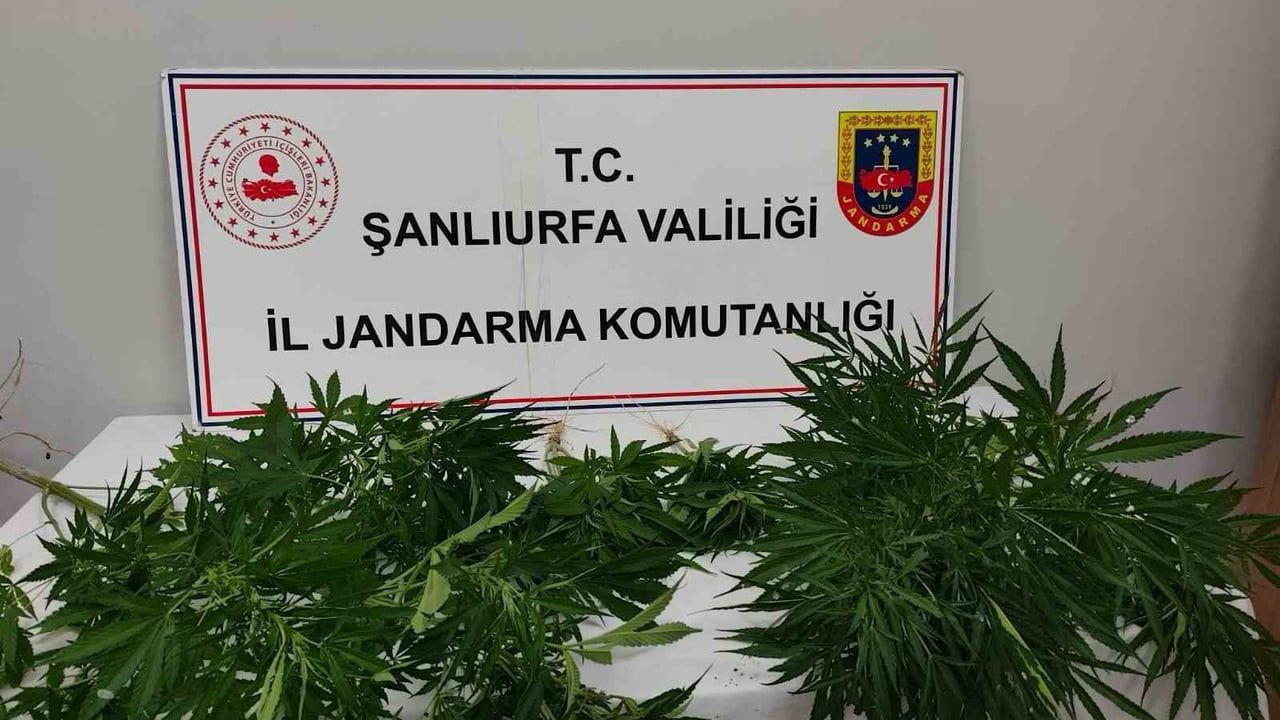 Hilvan’da uyuşturucu ele geçirildi