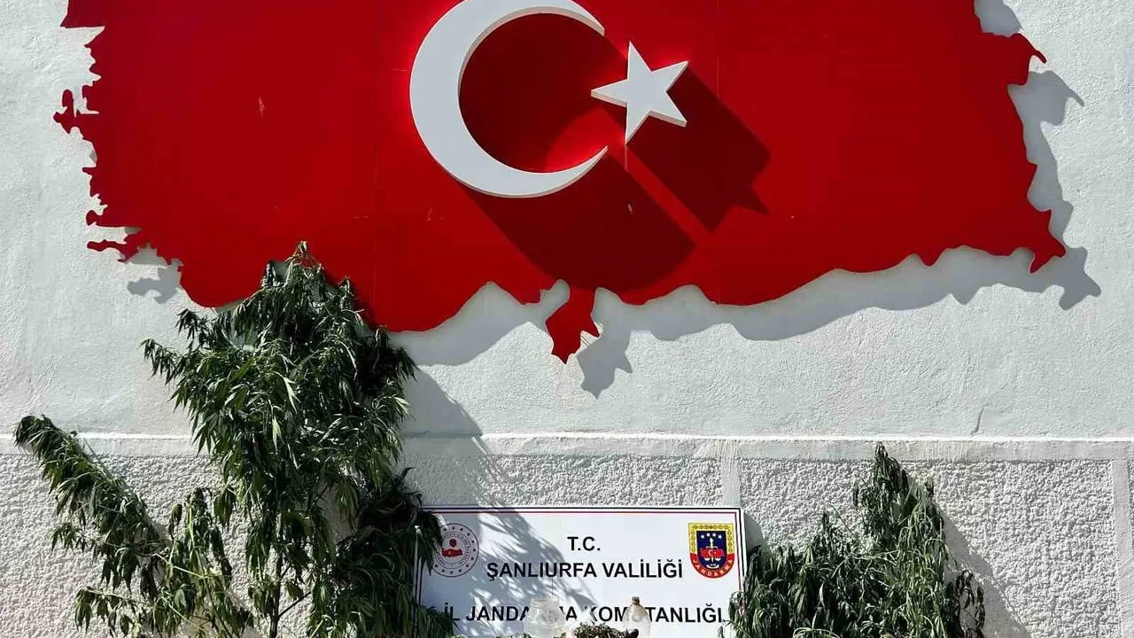 Hilvan'da uyuşturucu operasyonunda 1 gözaltı