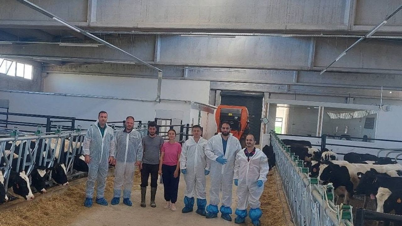Hisarcık’ta ilk hastalıktan ari büyükbaş işletmesi için önemli adım