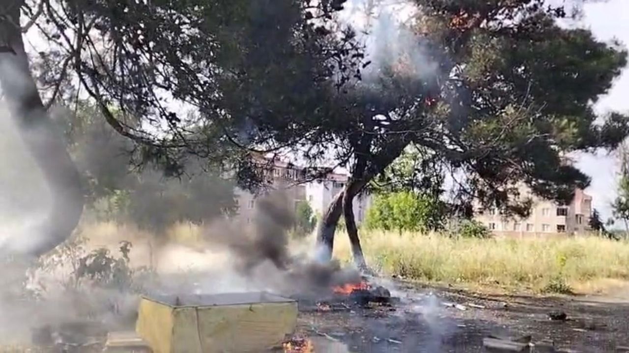 Hurda atık yangını yarım asırlık ağacı küle çevirdi
