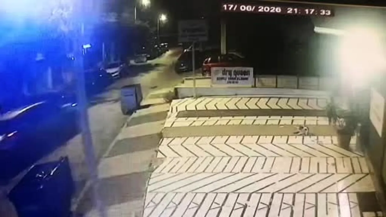 İBB Kültür A.Ş. genel müdür yardımcısı Erhan Karaal'ın kaçırılma anı görüntüleri ortaya çıktı
