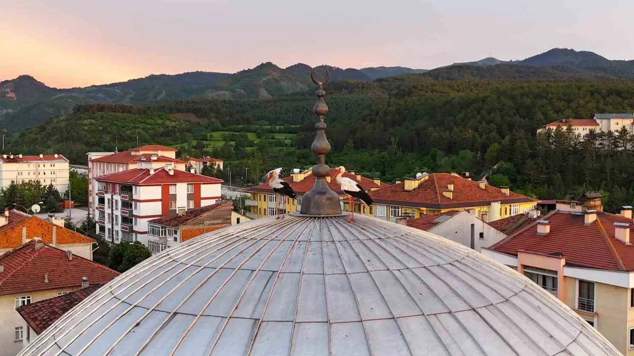 İhsangazi'de gün batımında leylekler Merkez Camii kubbesine kondu, anlar havadan görüntülendi
