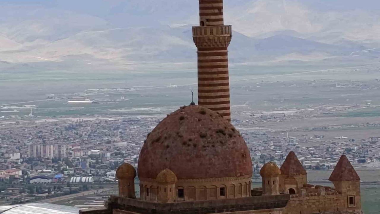 İshakpaşa Sarayı kubbesinde otların görülmesi ziyaretçilerde koruma çağrısı yarattı