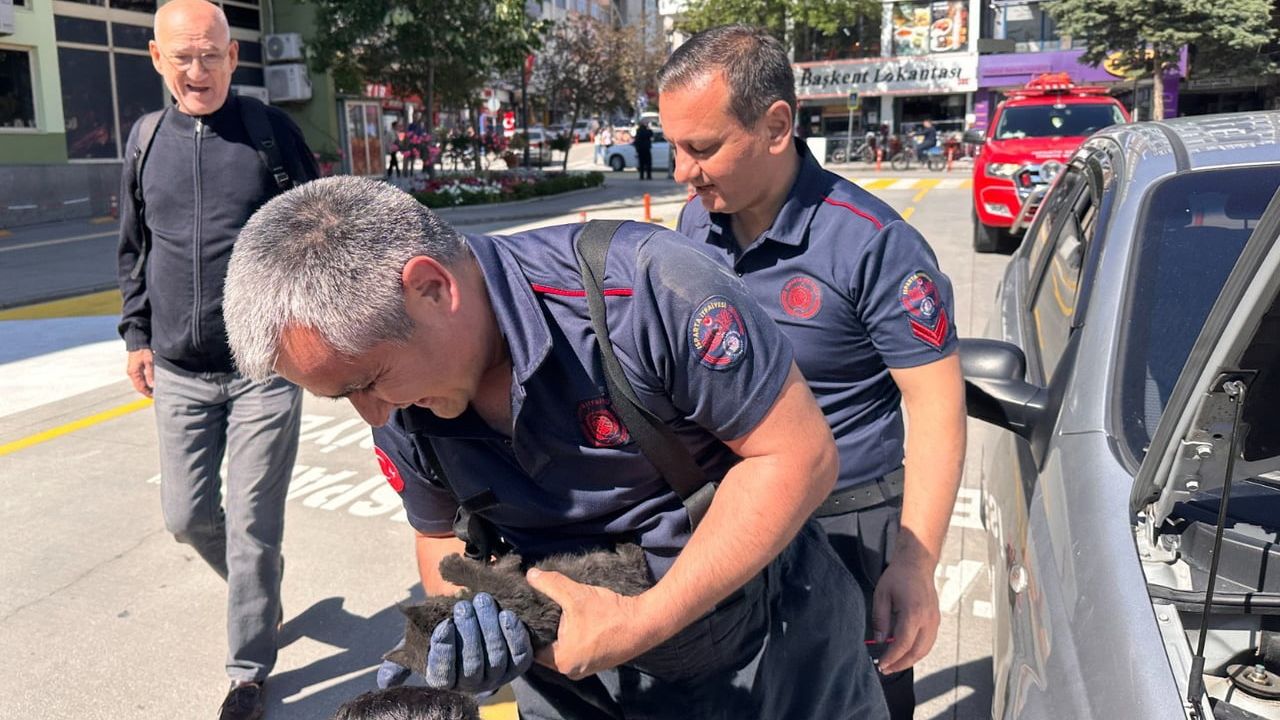 Isparta'da otomobilin motoruna giren yavru kedi itfaiye tarafından kurtarıldı