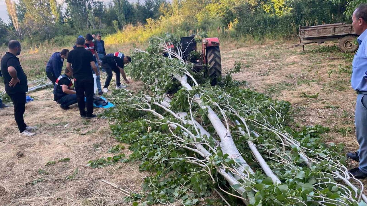 Isparta’da tarlada kestiği ağacın altında kalan Veysel İnan hayatını kaybetti